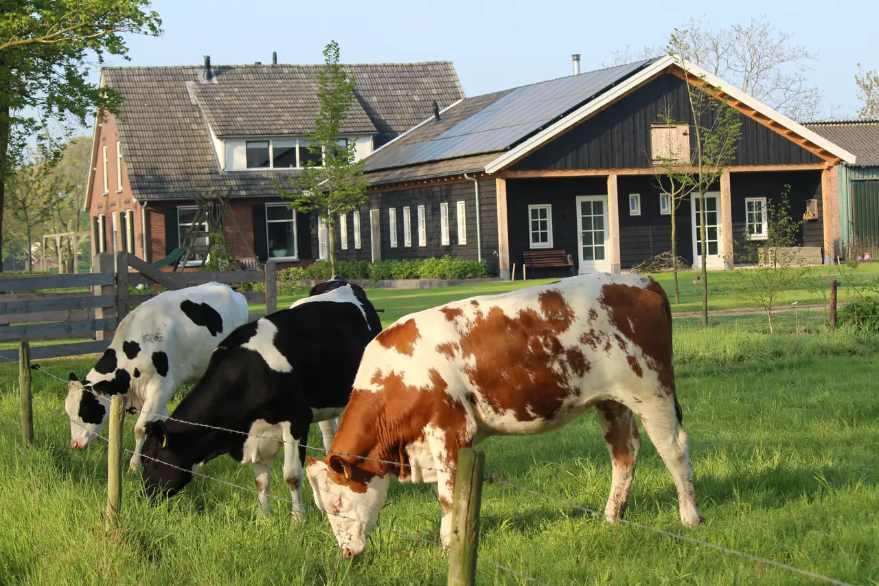 B&B ‘t Bievink - B&B Westendorp