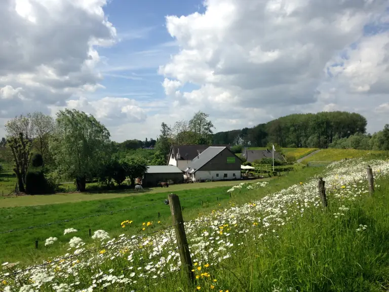 Dreumelse Waard - Bed and Breakfast Dreumel