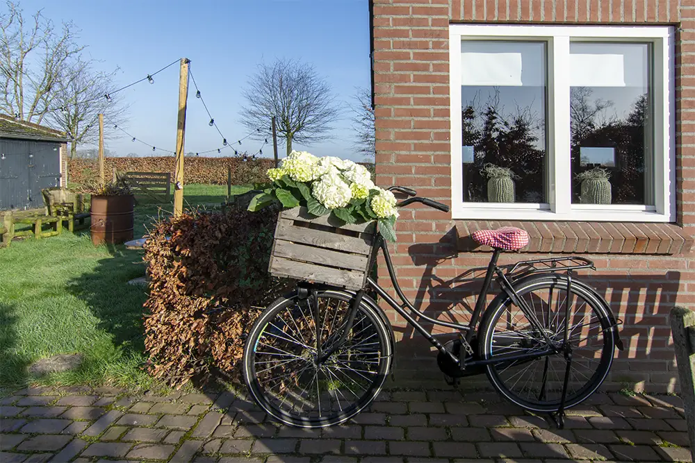 Bed & Breakfast Op Dreef - Ferienwohnung Deurne