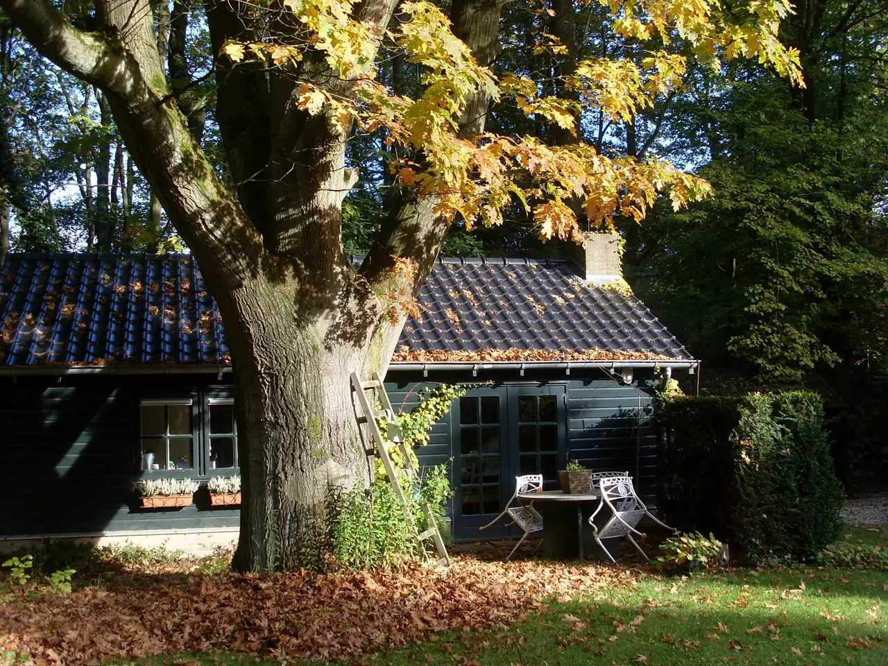 Sint Nicolaas - Bed and Breakfast Wiesel