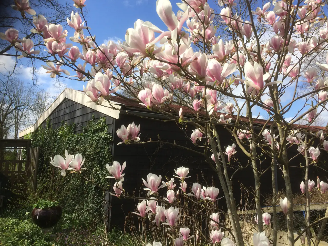 Op het Zuidje - Bed and Breakfast De Goorn