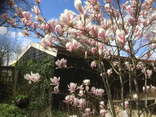 Op het Zuidje - Bed and Breakfast De Goorn