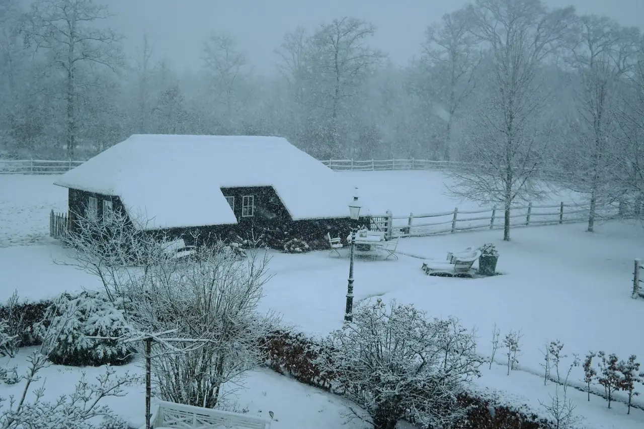 De Brink - B&B Maarsbergen