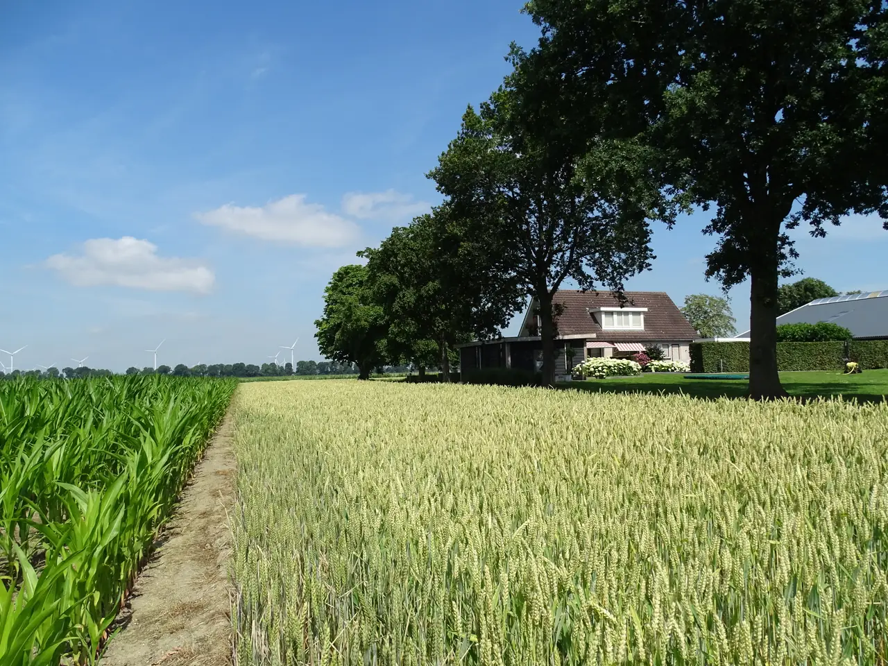 Bed & Breakfast Buitengewoon - Ferienwohnung Zeewolde