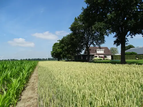 Bed & Breakfast Buitengewoon - Ferienwohnung Zeewolde