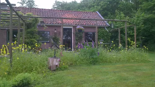 B&B De Boshoeve - B&B Boijl