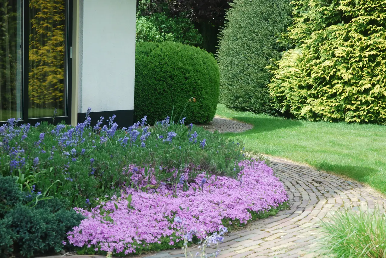 Frieda's Rusthoeve - B&B Garderen