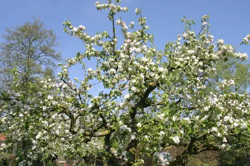 B&B De Leeghpoel - B&B Rumpt