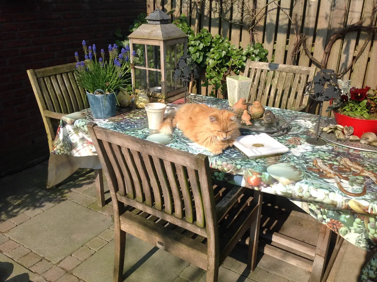 Bed & Breakfast Korte Beek - Bed and Breakfast Amersfoort