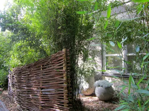 Zin in Bergen - B&B Bergen