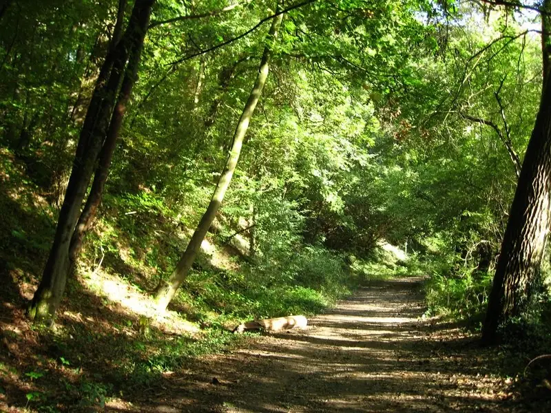 Bed & Breakfast Dassen - B&B Gronsveld