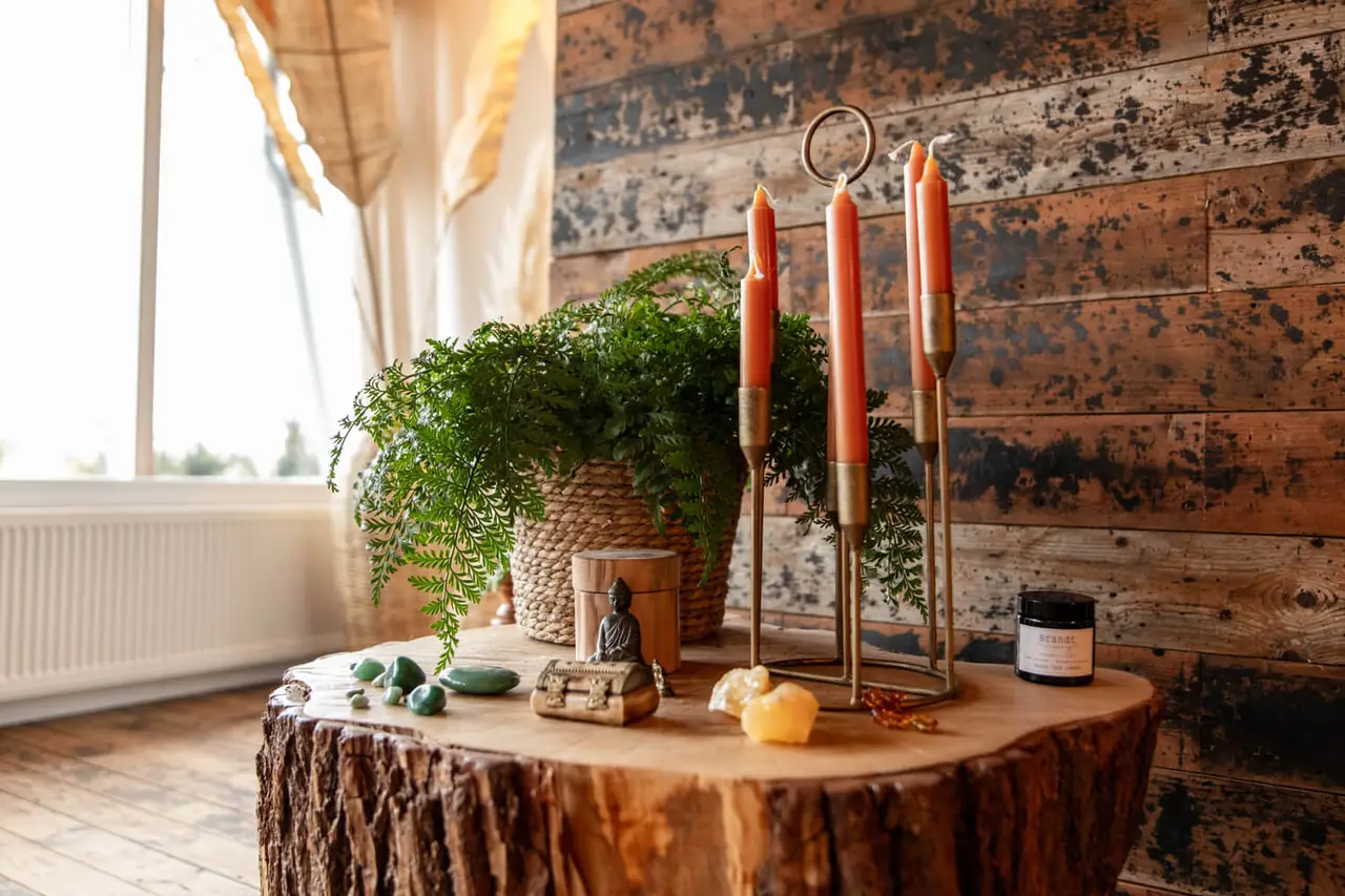 Hollandswelvaren - B&B Barsingerhorn