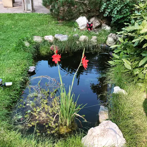 BenB De Specht - B&B Vorden