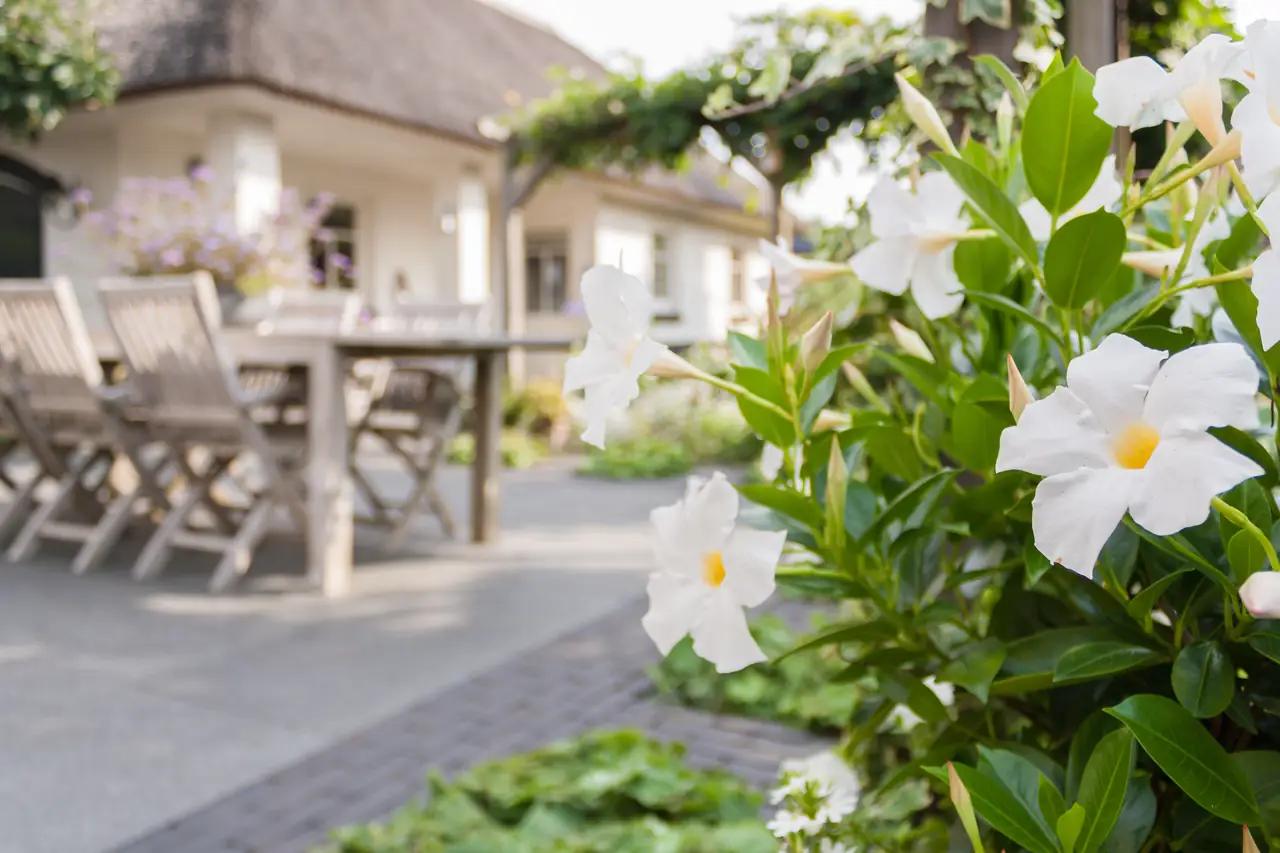 B&B de Heegh - B&B Didam