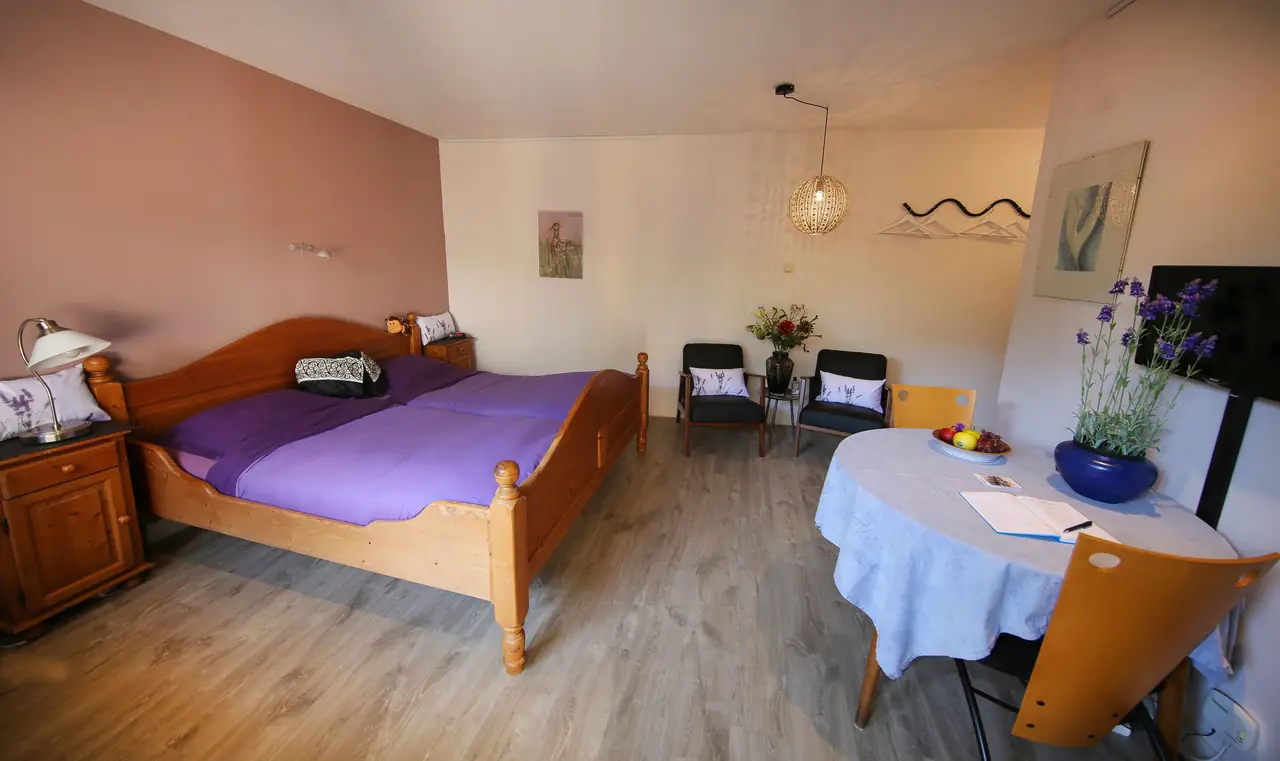 B&B Duingasten - B&B Driehuis