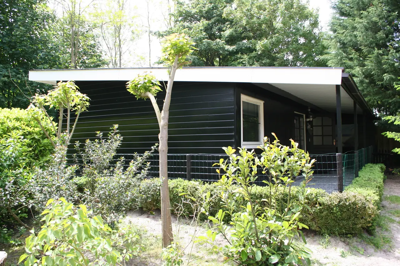 B&B Bosch & Duin - Bed and Breakfast Rockanje