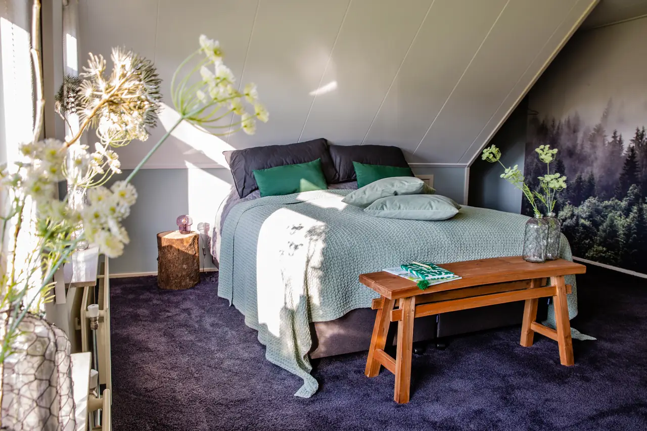 BuitenOmm Bed & Breakfast - B&B Arriën