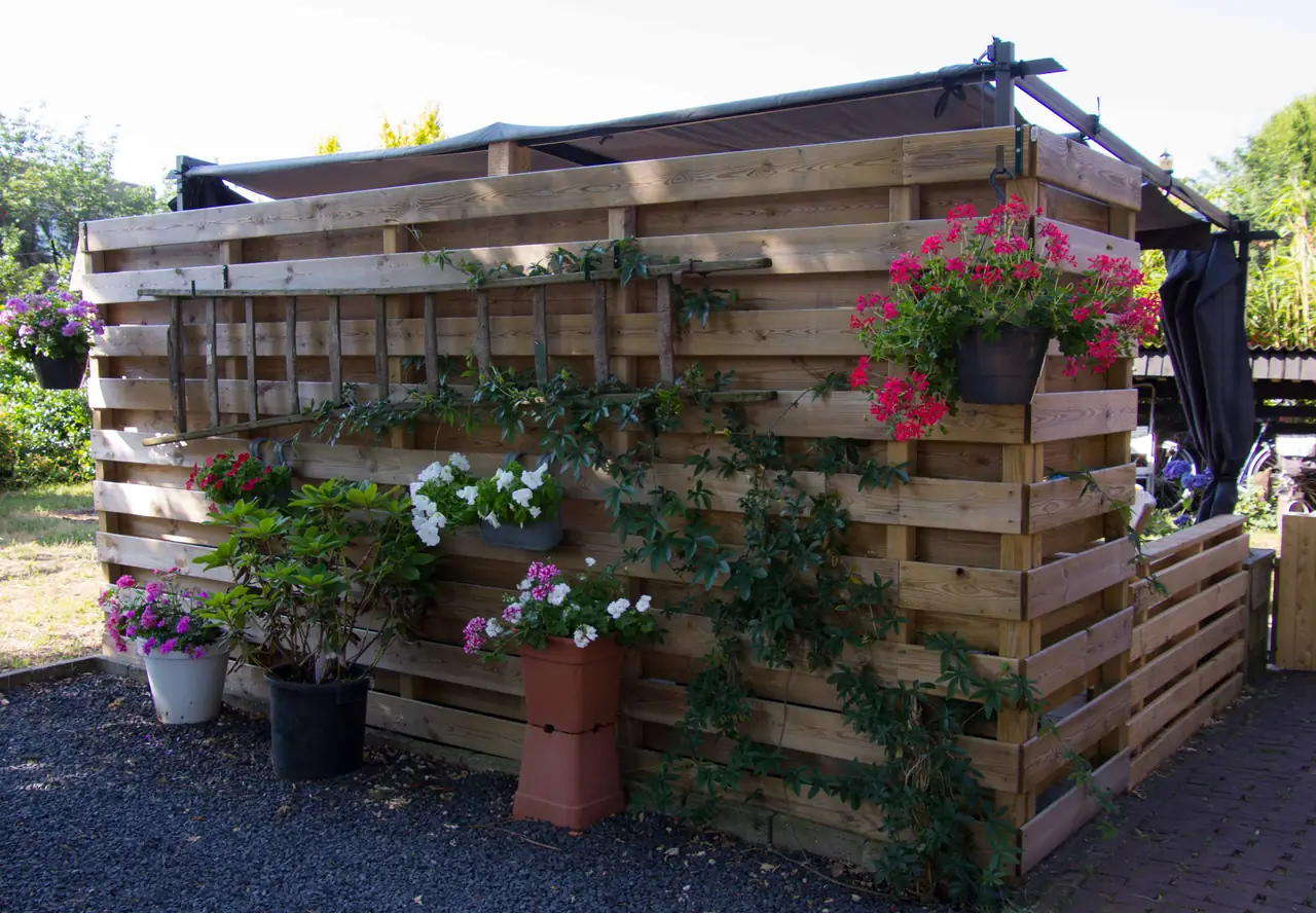 Soniaas Bed & Breakfast - Bed and Breakfast Zelhem