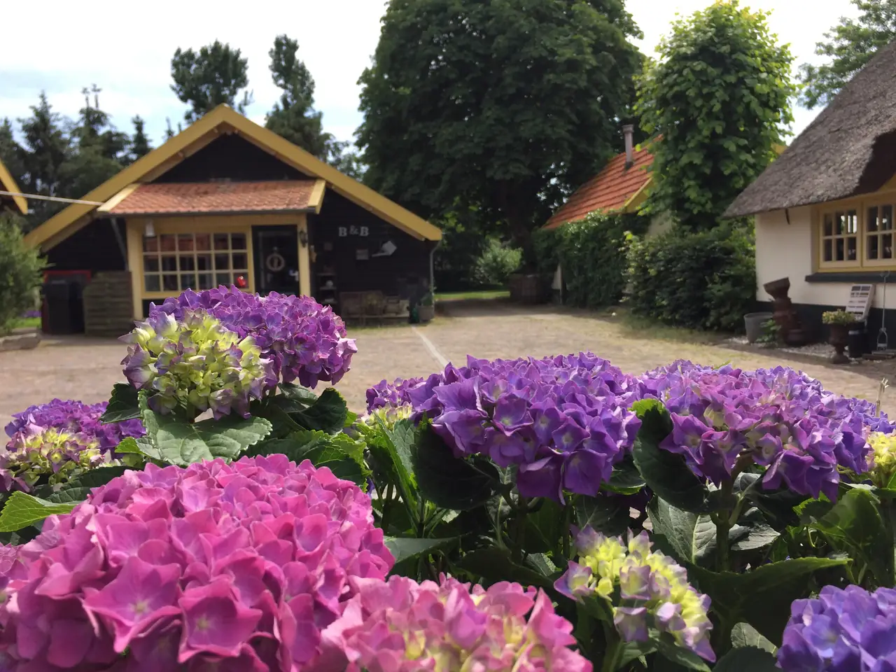 De Heidehoeve - B&B Wezep