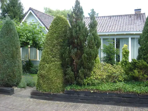 Achter de Terp - B&B Alkmaar