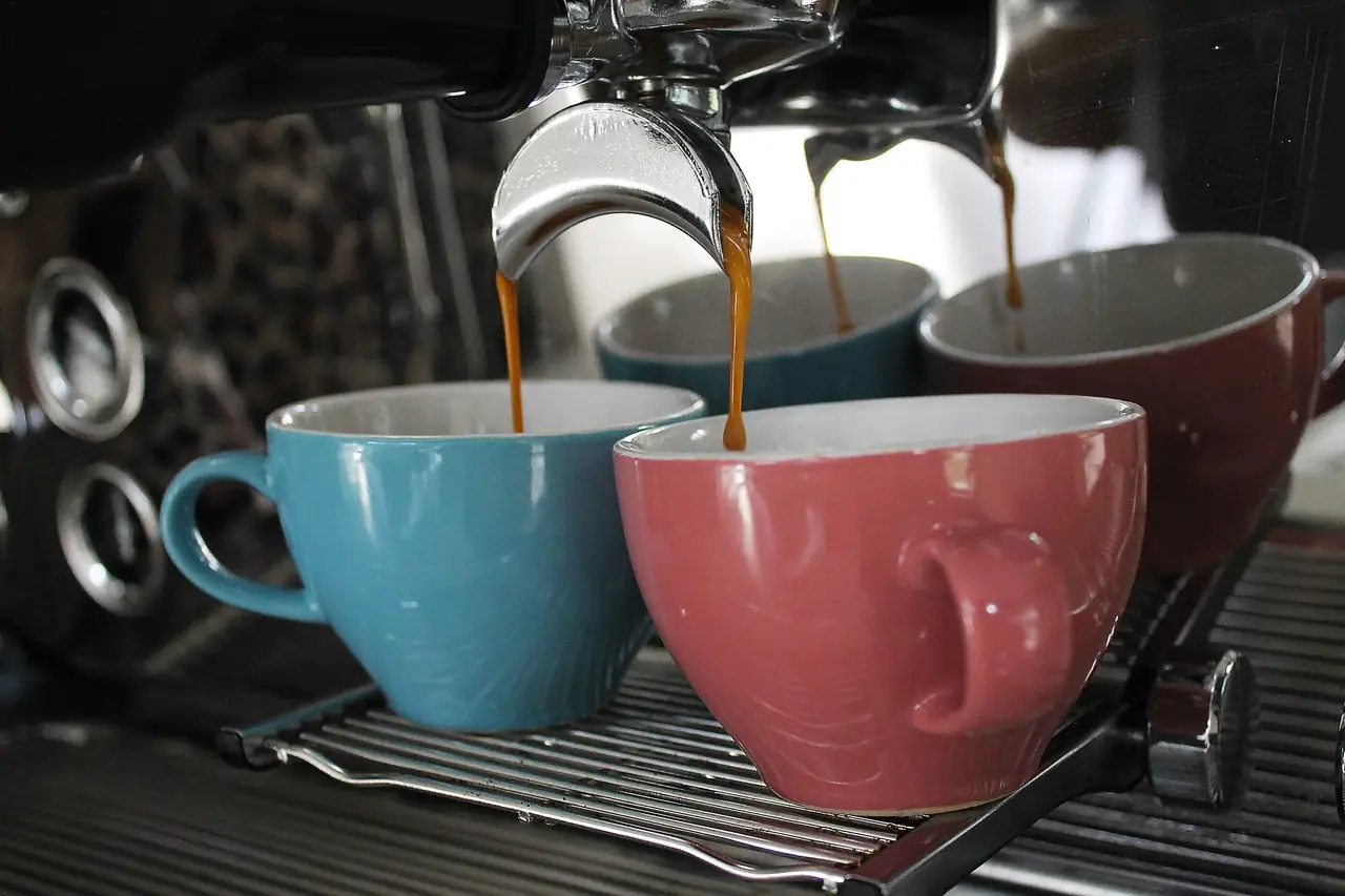 Zeeuws Kot - B&B Nieuwerkerk