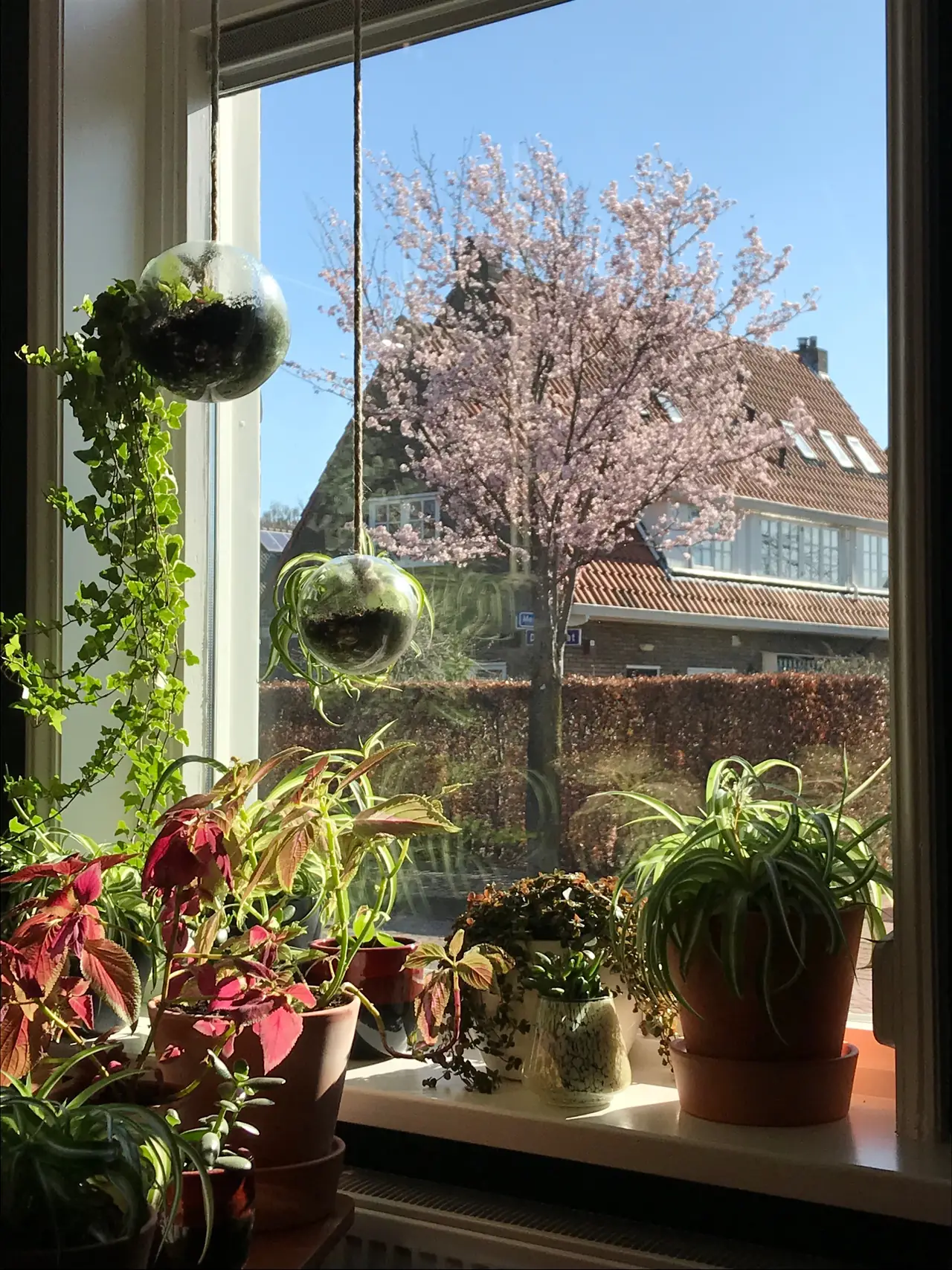 B&B Meiberg 1 - Bed and Breakfast Aalten