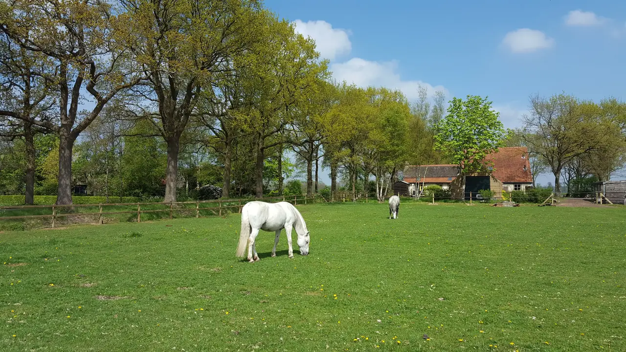 Hoeve 202 - Bed and Breakfast Noordwolde