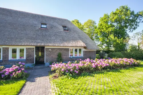 Juffertje in het groen - B&B Zwolle