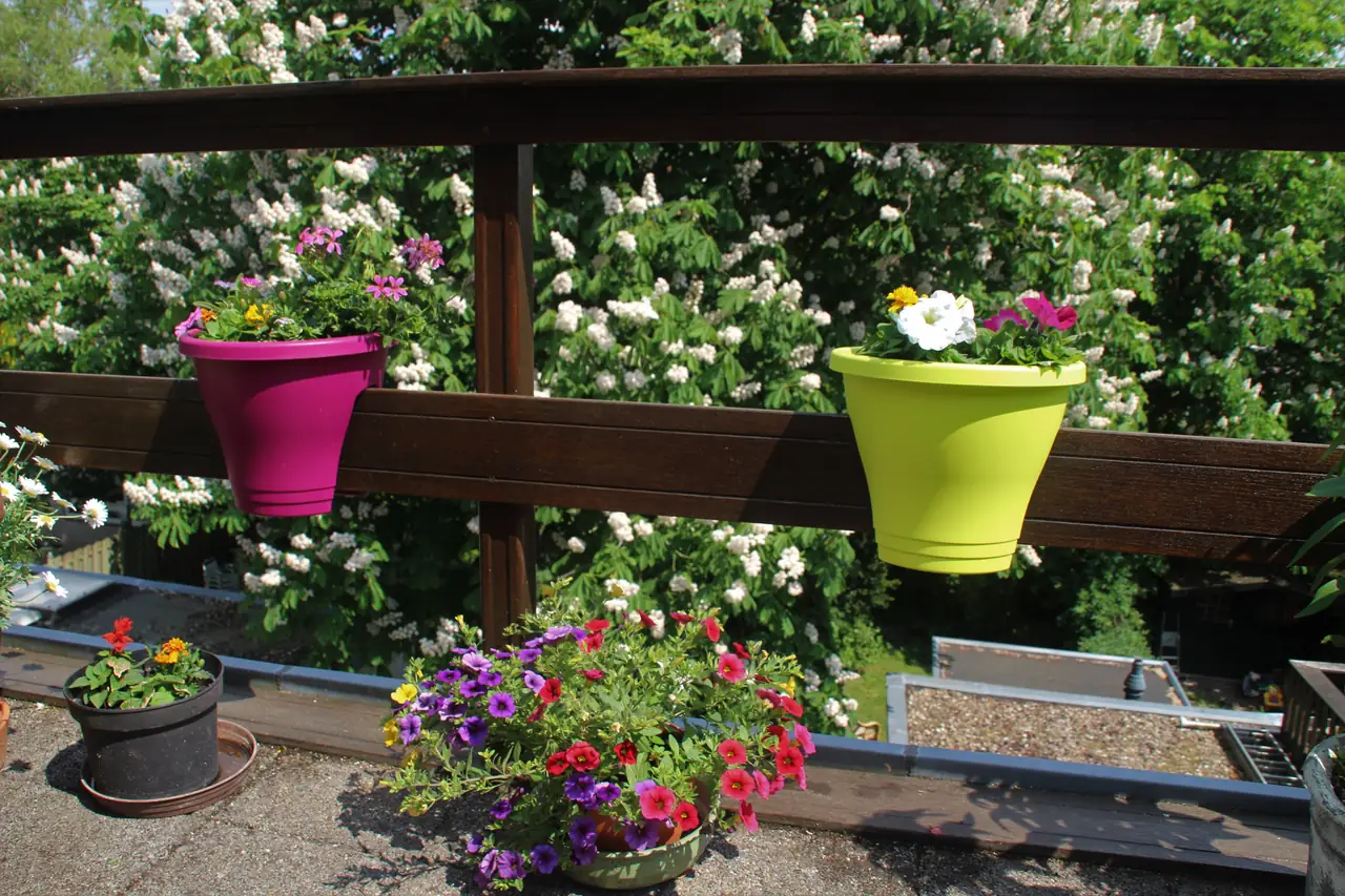 B&B 3 Kastanjes - B&B Leiden