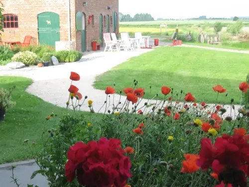 Natuurboerderij Ondersteboven - Ferienwohnung Ossenisse