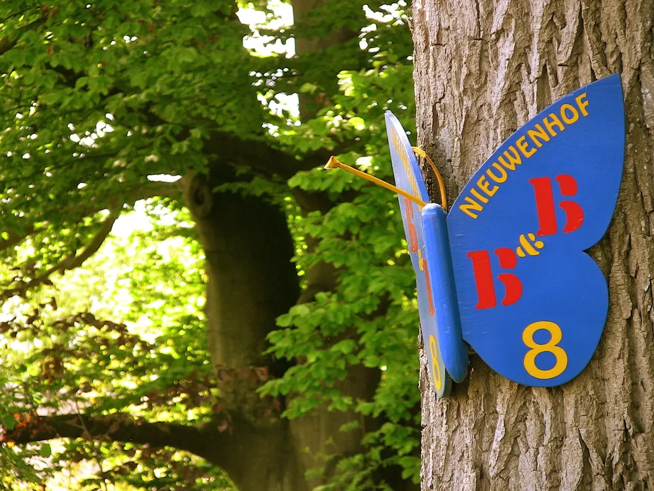 De Nieuwenhof - B&B de Wijk