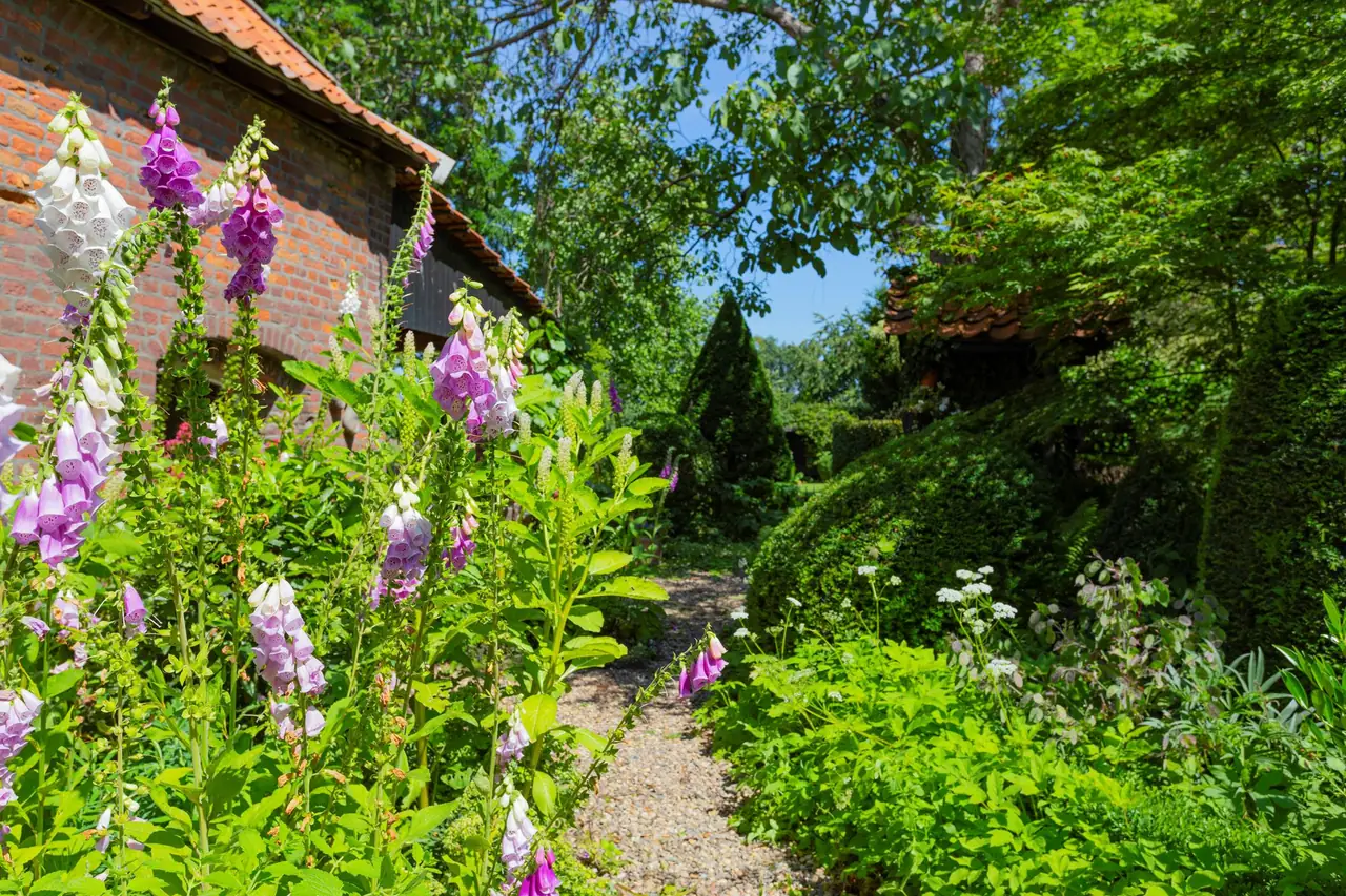 ‘t Buurveldje - Ferienwohnung Sint Odiliënberg