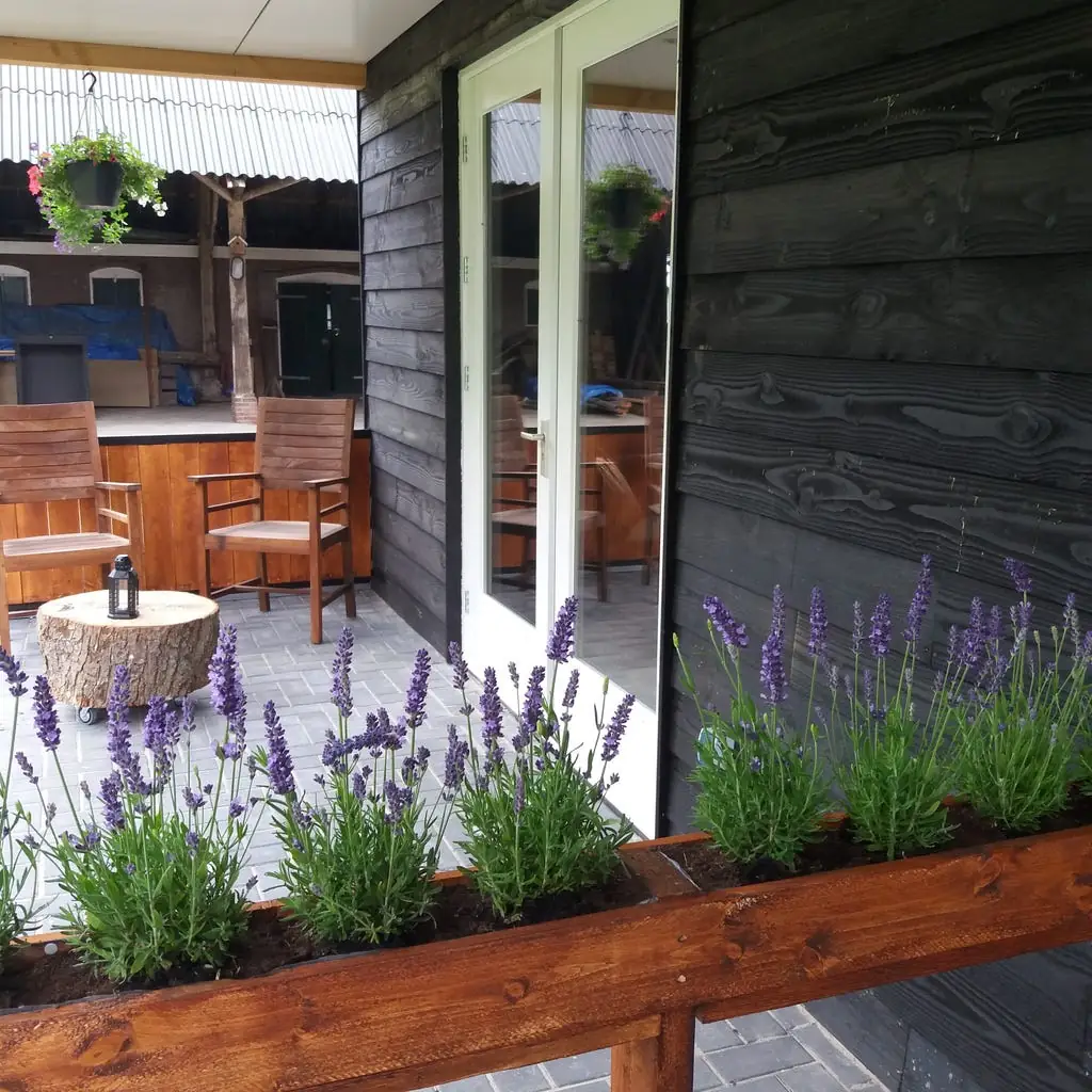 Enjoy your Stee - B&B Sleen