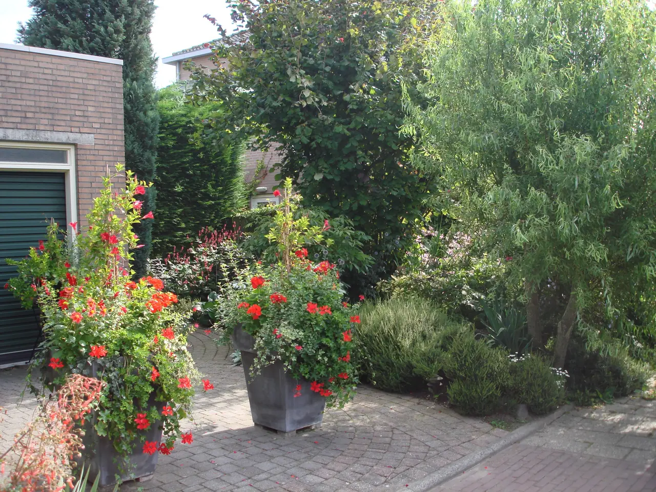 de Zomervlinder - B&B Houten