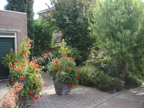 de Zomervlinder - B&B Houten