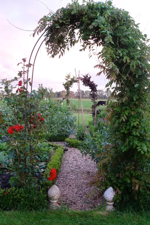 Het Woudhuisje - B&B Gytsjerk