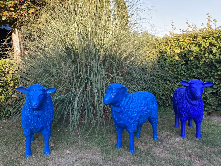 de blauwe schapen - Bed and Breakfast Venray