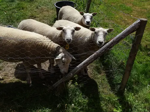 Bed en Breakfast Het Loont Assen - B&B Assen