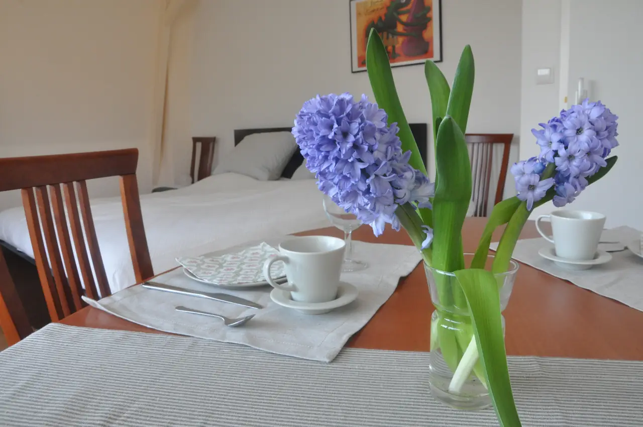 B&B Hyacint-Haarlem - B&B Haarlem