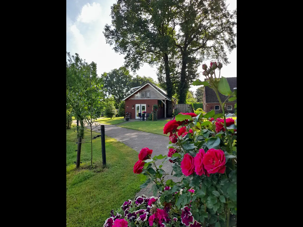 Het Wierdense Veld - B&B Nijverdal