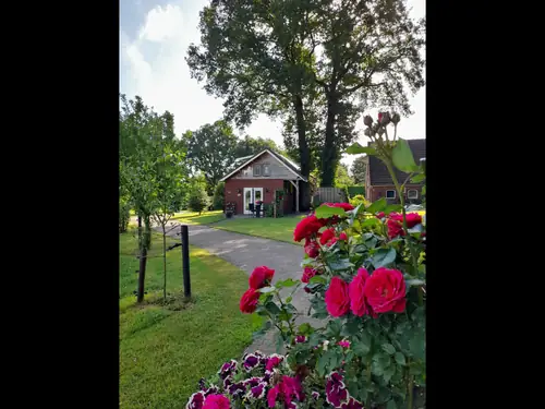 Het Wierdense Veld - B&B Nijverdal