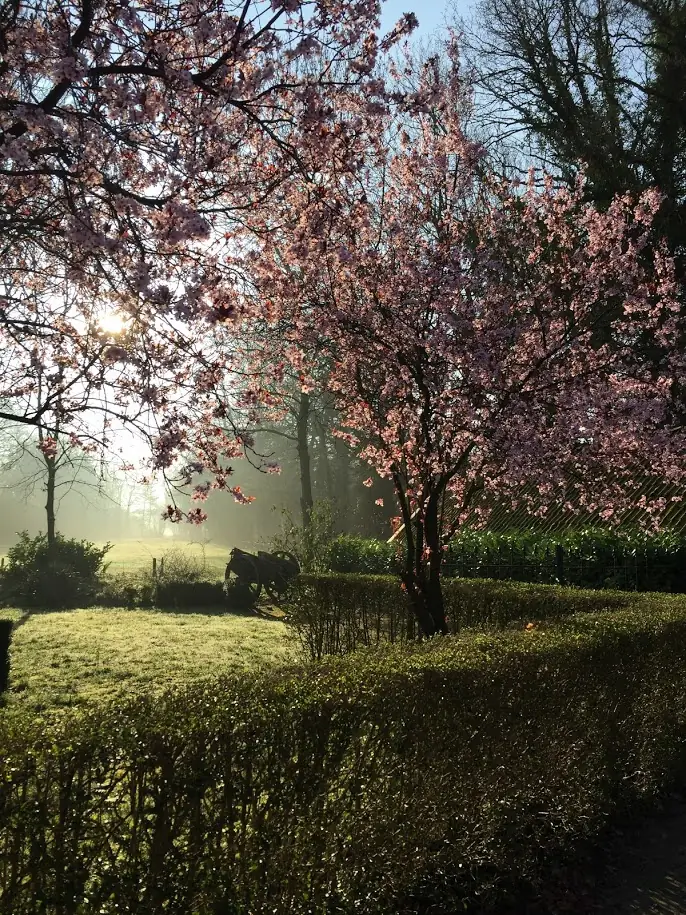 B&B to B - Bed and Breakfast Winterswijk