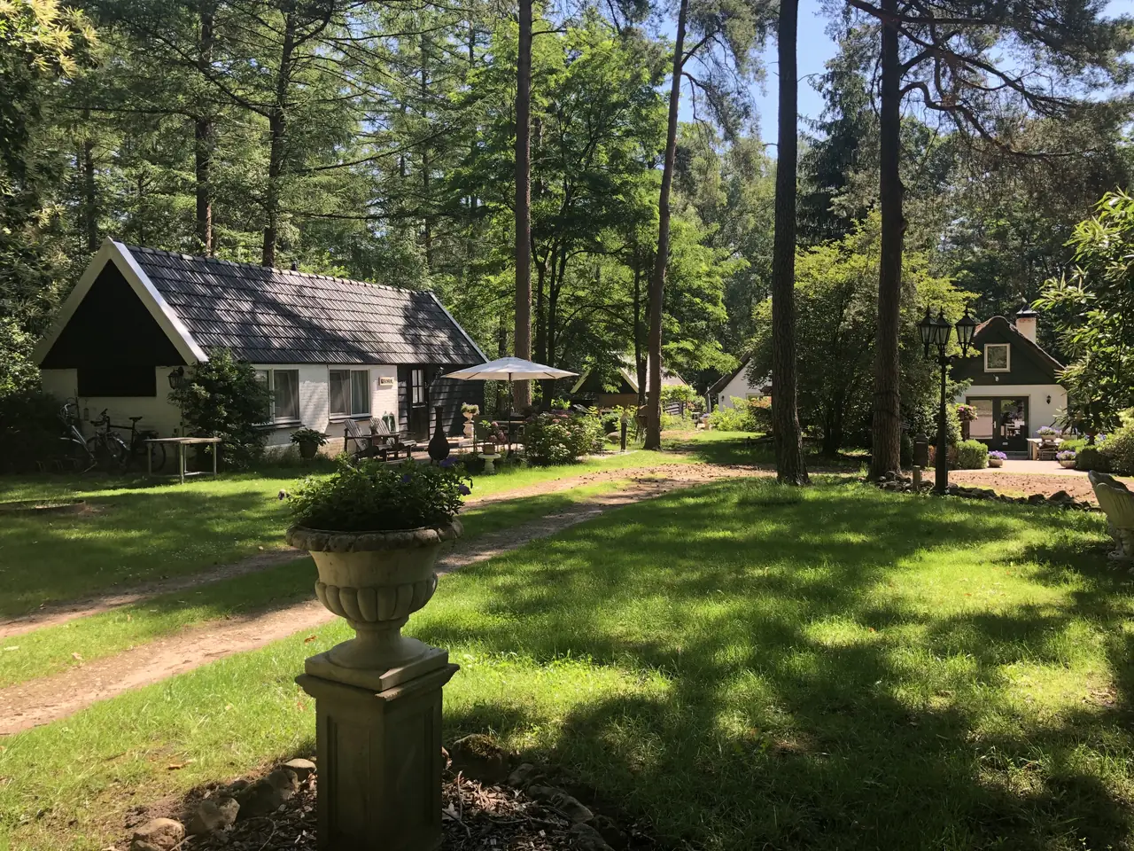 Landgoed Driebelterveld - Bed and Breakfast Markelo