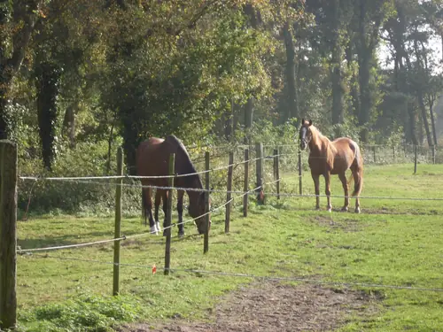 Mi Ranchito - B&B Grubbenvorst
