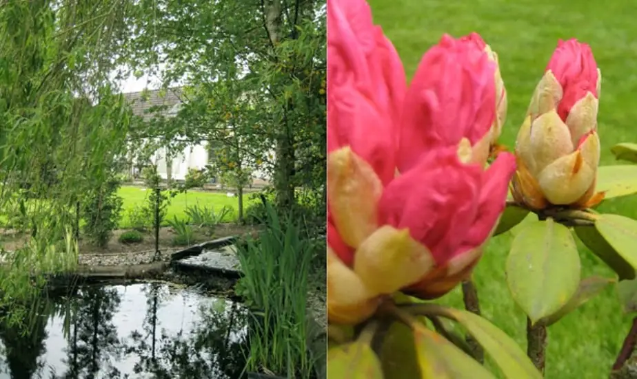 Tout Pour Toi - B&B Westendorp