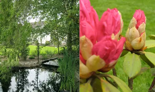 Tout Pour Toi - B&B Westendorp