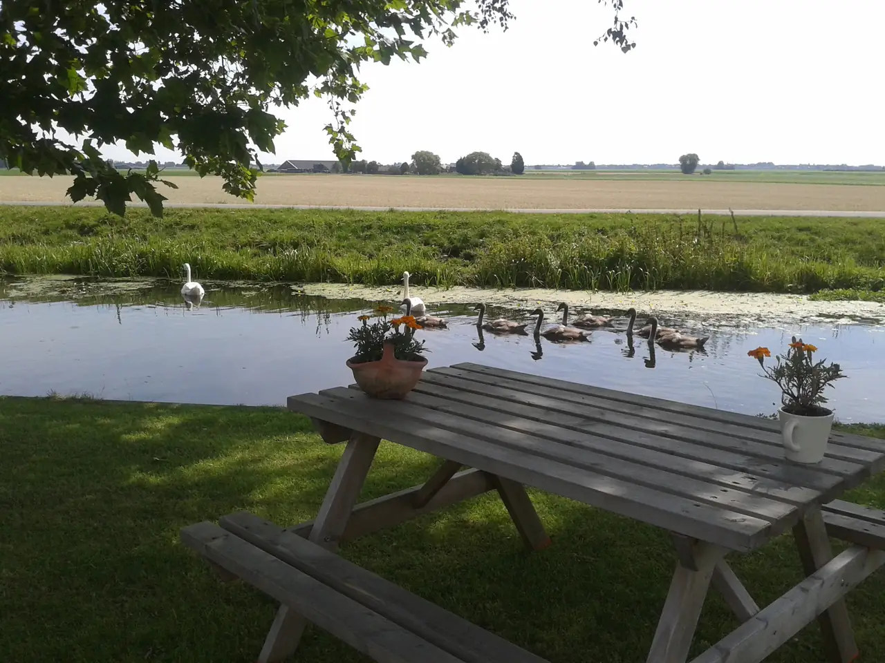 De Rustende Jagher - B&B Korteraar