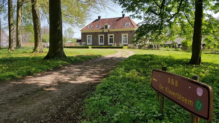 De Klaverbloem - B&B Angerlo