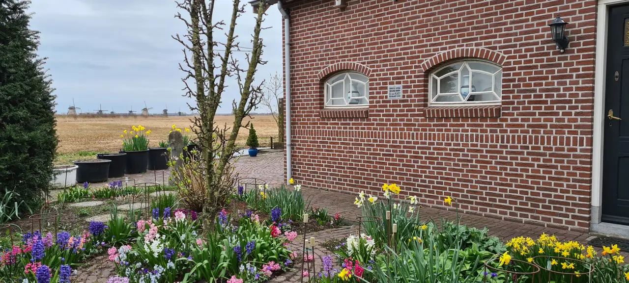 Molenblick - B&B Kinderdijk