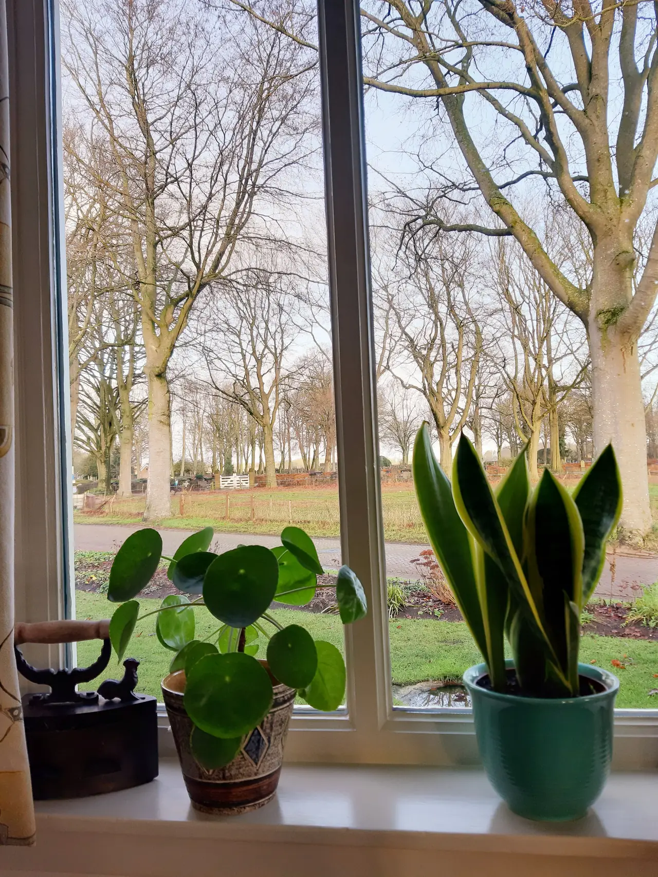 Aan de Esch - Bed and Breakfast Rolde